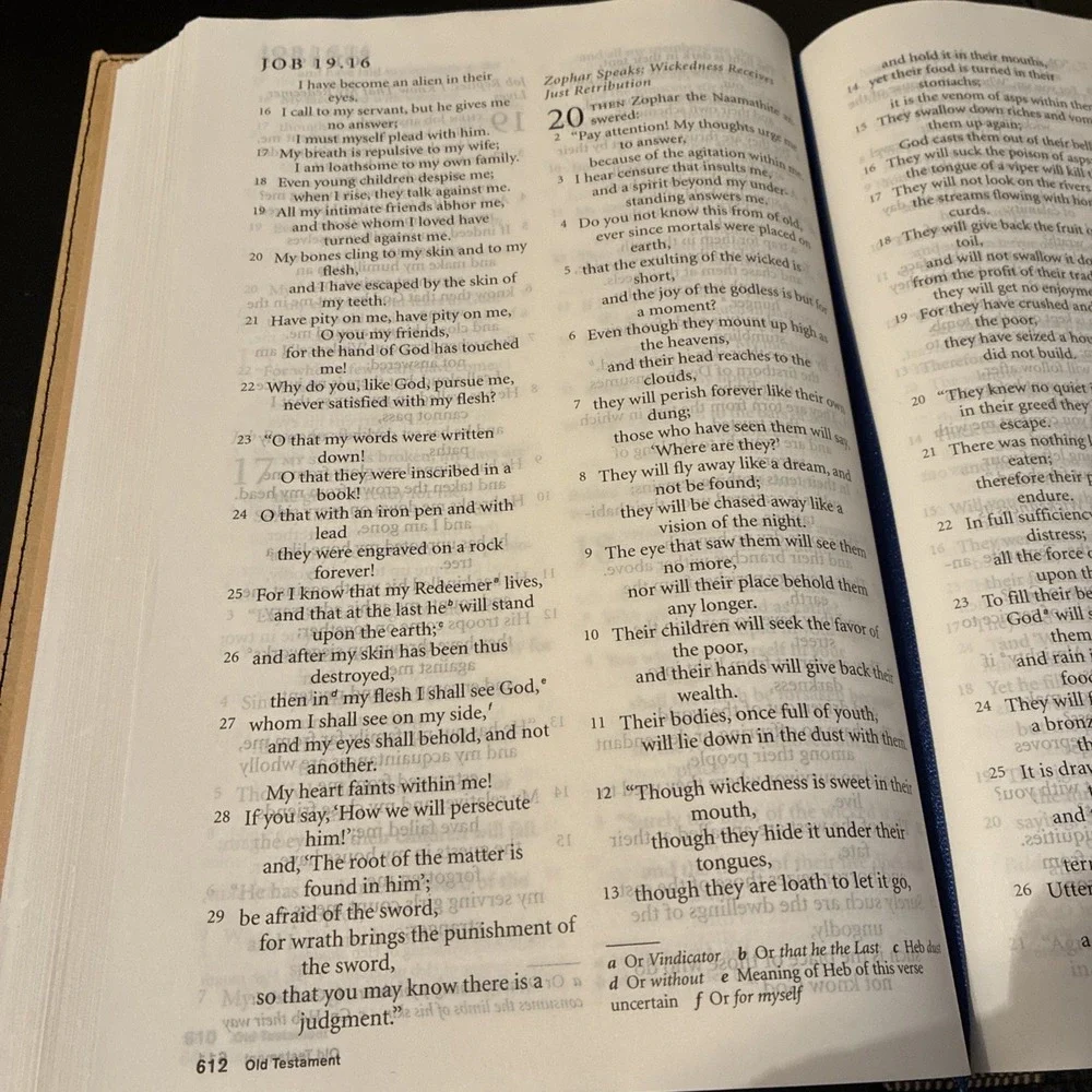 Holy Bible Harper New Revised Standard Version 2007 (Very Good)